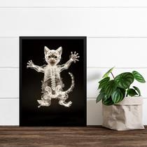 Quadro Decorativo Esqueleto De Gato 45x34cm - com vidro Quadro Decorativo Esqueleto De Gato 45x34cm - com vidro