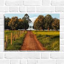 Quadro Decorativo Estrada de Fazendas (Coleção Originais do Brasil) Quadro Decorativo Estrada de Fazendas (Coleção Originais do Brasil)