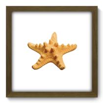 Quadro Decorativo - Estrela do Mar - 33cm x 33cm - 039qdkm Quadro Decorativo - Estrela do Mar - 33cm x 33cm - 039qdkm
