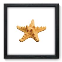 Quadro Decorativo - Estrela do Mar - 33cm x 33cm - 039qdkp Quadro Decorativo - Estrela do Mar - 33cm x 33cm - 039qdkp