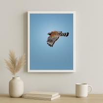 Quadro Decorativo Falcão Peregrino Voando 33x24cm - vidro Cor:Moldura branca Quadro Decorativo Falcão Peregrino Voando 33x24cm - vidro Cor:Moldura branca