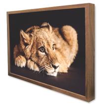 Quadro Decorativo Filhote do Predador em Moldura Caixa