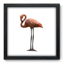 Quadro Decorativo - Flamingo - 33cm x 33cm - 233qdsp Quadro Decorativo - Flamingo - 33cm x 33cm - 233qdsp