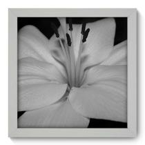 Quadro Decorativo - Flor - 22cm x 22cm - 098qdfb