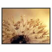 Quadro Decorativo Flor Gotas Orvalho 90x60 para Sala Quarto Quadro Decorativo Flor Gotas Orvalho 90x60 para Sala Quarto