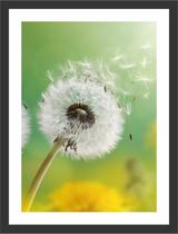 Quadro Decorativo Flor Paisagens Natureza Decorações Com Moldura