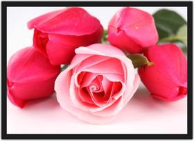 Quadro Decorativo Flor Rosa Paisagens Salas Decorações Com Moldura