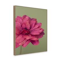 Quadro Decorativo Flor Rosalete Toque Elegante e Natural ,Impressões Premium Estilo Moderno Moldura Arte Abstrata Compostos Estilo D