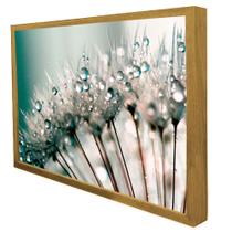 Quadro Decorativo Floral Dente de Leão em Moldura Caixa Quadro Decorativo Floral Dente de Leão em Moldura Caixa