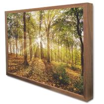 Quadro Decorativo Floral Floresta na Luz do Sol em Moldura Caixa Quadro Decorativo Floral Floresta na Luz do Sol em Moldura Caixa