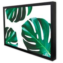 Quadro Decorativo Floral Folhagem Costela de Adão em Moldura Caixa Quadro Decorativo Floral Folhagem Costela de Adão em Moldura Caixa