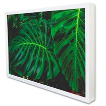 Quadro Decorativo Floral Folhagem em Moldura Caixa Quadro Decorativo Floral Folhagem em Moldura Caixa