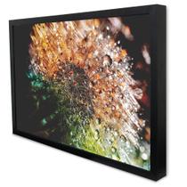 Quadro Decorativo Floral Gotas de Orvalho em Moldura Caixa Quadro Decorativo Floral Gotas de Orvalho em Moldura Caixa