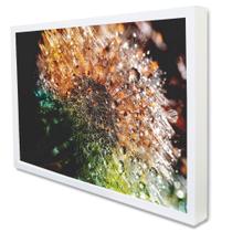 Quadro Decorativo Floral Gotas de Orvalho em Moldura Caixa Quadro Decorativo Floral Gotas de Orvalho em Moldura Caixa