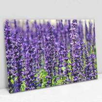 Quadro Decorativo Floral Lavanda em tela Canvas Quadro Decorativo Floral Lavanda em tela Canvas