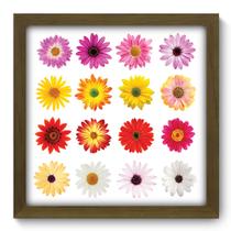 Quadro Decorativo - Flores - 33cm x 33cm - 077qdfm