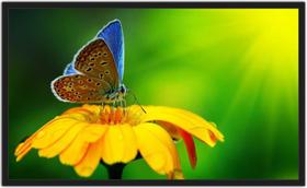 Quadro Decorativo Flores Borboleta Decorações Salas Com Moldura TT04 Quadro Decorativo Flores Borboleta Decorações Salas Com Moldura TT04