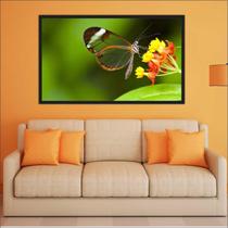 Quadro Decorativo Flores Borboleta Decorações Salas Com Moldura TT05