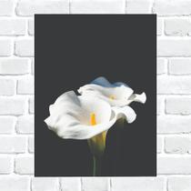 Quadro Decorativo Flores Copo de Leite