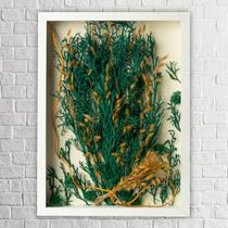 Quadro Decorativo Flores Desidratadas Pinterest Sala 30x42 Quadro Decorativo Flores Desidratadas Pinterest Sala 30x42