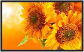 Quadro Decorativo Flores Girassol Decorações Salas Com Moldura TT01