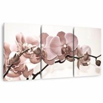 Quadro decorativo Flores Orquídeas Bege Para Sala Recepção Conjunto 3 Telas 60x120 - Framez