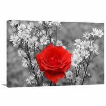 Quadro decorativo Flores - Paisagem - Tela em Tecido Canvas Quadro decorativo Flores - Paisagem - Tela em Tecido Canvas