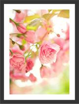 Quadro Decorativo Flores Rosa Paisagens Natureza Decorações Com Moldura Quadro Decorativo Flores Rosa Paisagens Natureza Decorações Com Moldura