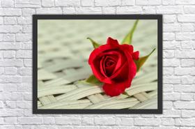 Quadro Decorativo Flores Rosa Paisagens Salas Decorações Com Moldura Quadro Decorativo Flores Rosa Paisagens Salas Decorações Com Moldura