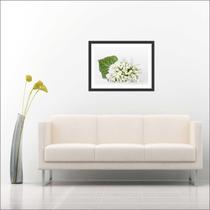 Quadro Decorativo Flores Salas Decorações Com Moldura Quadro Decorativo Flores Salas Decorações Com Moldura
