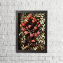 Quadro Decorativo Flores Secas Arapuama 21x30 Quadro Decorativo Flores Secas Arapuama 21x30