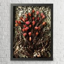 Quadro Decorativo Flores Secas Arapuama 30x42 Quadro Decorativo Flores Secas Arapuama 30x42