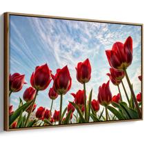 Quadro decorativo Flores - Tulipas Vermelhas Desabrochando em Silêncio Majestoso - Art Canvas