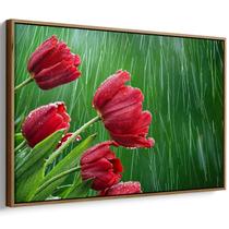 Quadro decorativo Flores - Tulipas Vermelhas Sob a Chuva do Campo - Art Canvas