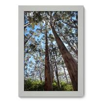 Quadro Decorativo - Floresta - 25cm x 35cm - 158qnpbb