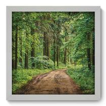 Quadro Decorativo - Floresta - 33cm x 33cm - 122qdpb