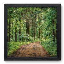 Quadro Decorativo - Floresta - 33cm x 33cm - 122qdpp