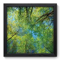 Quadro Decorativo - Floresta - 33cm x 33cm - 123qdpp