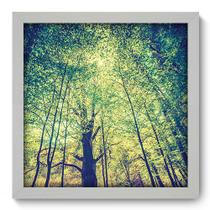 Quadro Decorativo - Floresta - 33cm x 33cm - 277qddb