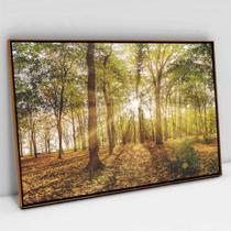 Quadro Decorativo Floresta na Luz do Sul em tela Canvas