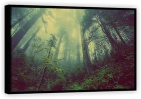 Quadro Decorativo Floresta Névoa Árvores Sol Paisagem Natureza Salas Tela Canvas Premium GG