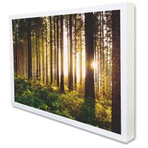 Quadro Decorativo Floresta Sobre a Luz do Sol em Moldura Caixa Quadro Decorativo Floresta Sobre a Luz do Sol em Moldura Caixa