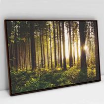 Quadro Decorativo Floresta Sobre a Luz do Sol em tela Canvas