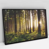 Quadro Decorativo Floresta Sobre a Luz do Sol em tela Canvas