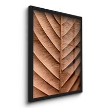 Quadro Decorativo Folha No Zoom 45x33 C/Vidro Quadro Decorativo Folha No Zoom 45x33 C/Vidro