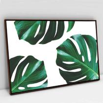 Quadro Decorativo Folhagem Costela de Adão em tela Canvas Quadro Decorativo Folhagem Costela de Adão em tela Canvas