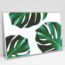 Quadro Decorativo Folhagem Costela de Adão em tela Canvas