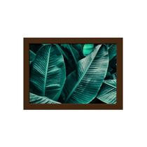 Quadro Decorativo Folhagem Folha Moldura Marrom 22x32cm