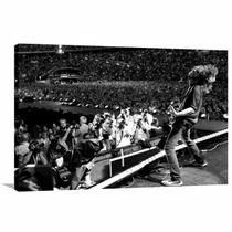 Quadro decorativo Foo Fighters Show - Tela em Tecido