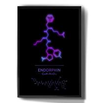 Quadro Decorativo Formula Quimica Endorfina Neon